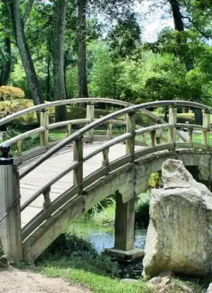 Paisagem serviços 2