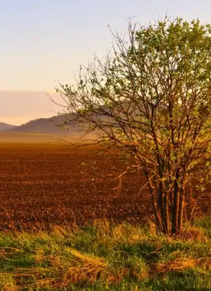 Paisagem serviços 3